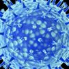 Протеин в човешкото тяло може да се пребори с грипа