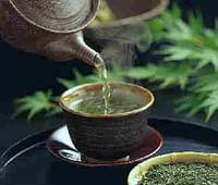 зелен, чай, зелен чай  зеленият чай, Паркинсон, болестта на Паркинсон