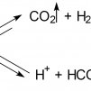 Производни на въглводородната, циановодородната, циановата, изоциановата и фулминовата киселина