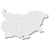 3 и 10-километровата зони около с.Слънчоглед са чисти от птичи грип