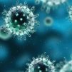 РЗИ предупреждават всички лични лекари и специалисти да бъдат нащрек за пациенти с респираторни заболявания.