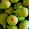 Полезните свойства на смокинята