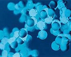 Птичи грип - H5N1, H7N2, H7N3, H7N7, H9N2