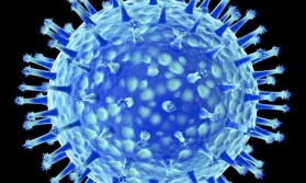 Протеин в човешкото тяло може да се пребори с грипа