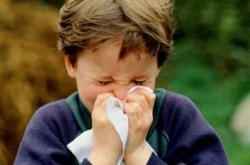 Алергии при децата: Алергичен ринит.