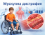 Мускулна дистрофия &ndash; симптоми, причини, видове и лечение